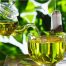 Chá Verde E Seus Benefícios