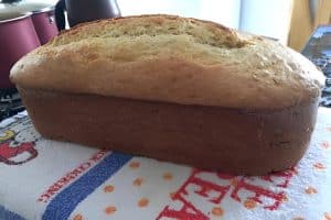 Pão Caseiro com Aveia