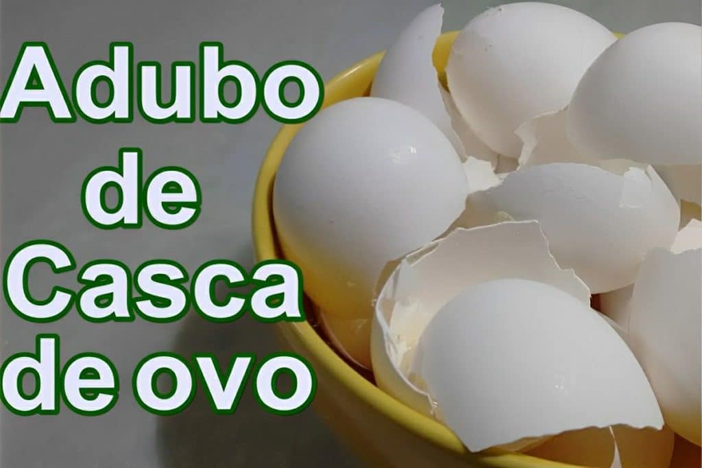 Adubo De Casca De Ovo
