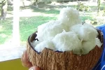 Bala De Coco