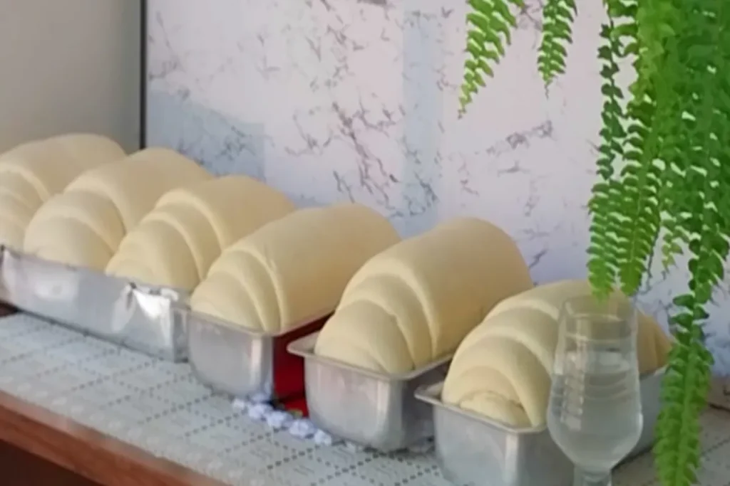 Esse Pão Caseiro Rende Super Bem E É Melhor Do Que Muito Pão De Padaria 7 Pão Caseiro